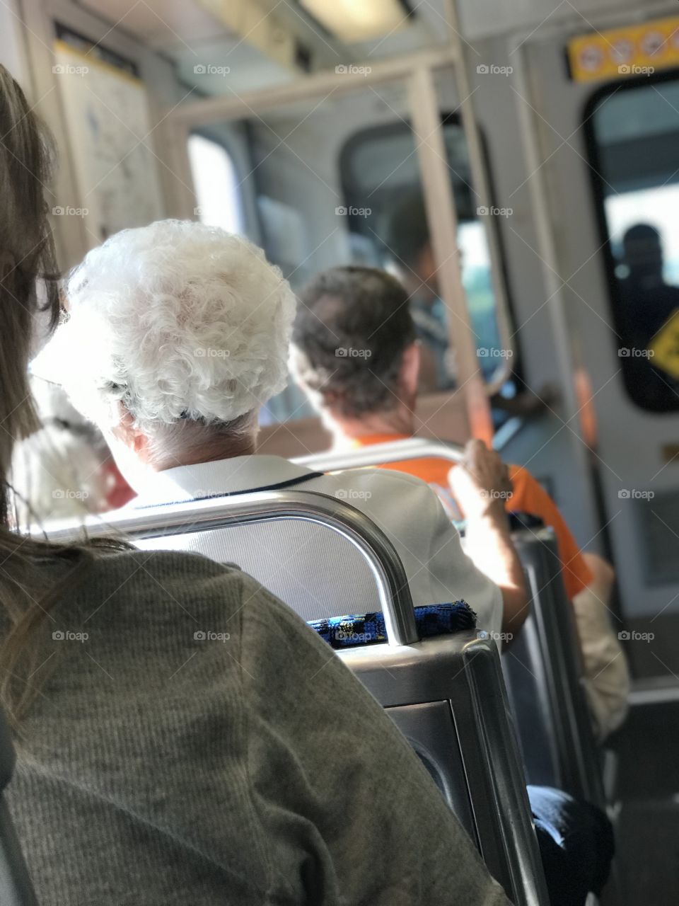 Dallas transit system 