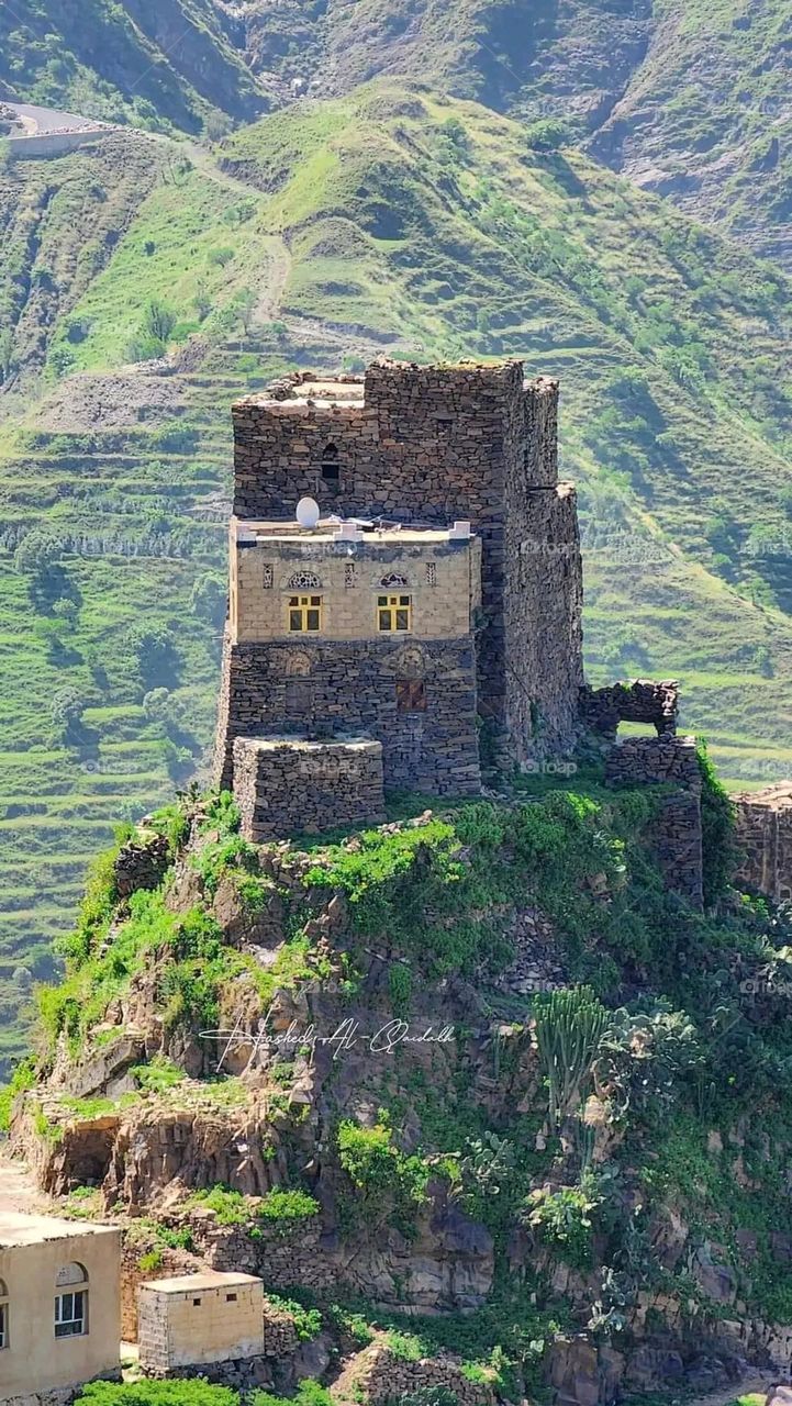 A very beautiful picture, and there is no better picture than it. There is no better picture of green herbs and colorful, red and white roses than it. Glory be to God, the natural and picturesque view, and there is no more