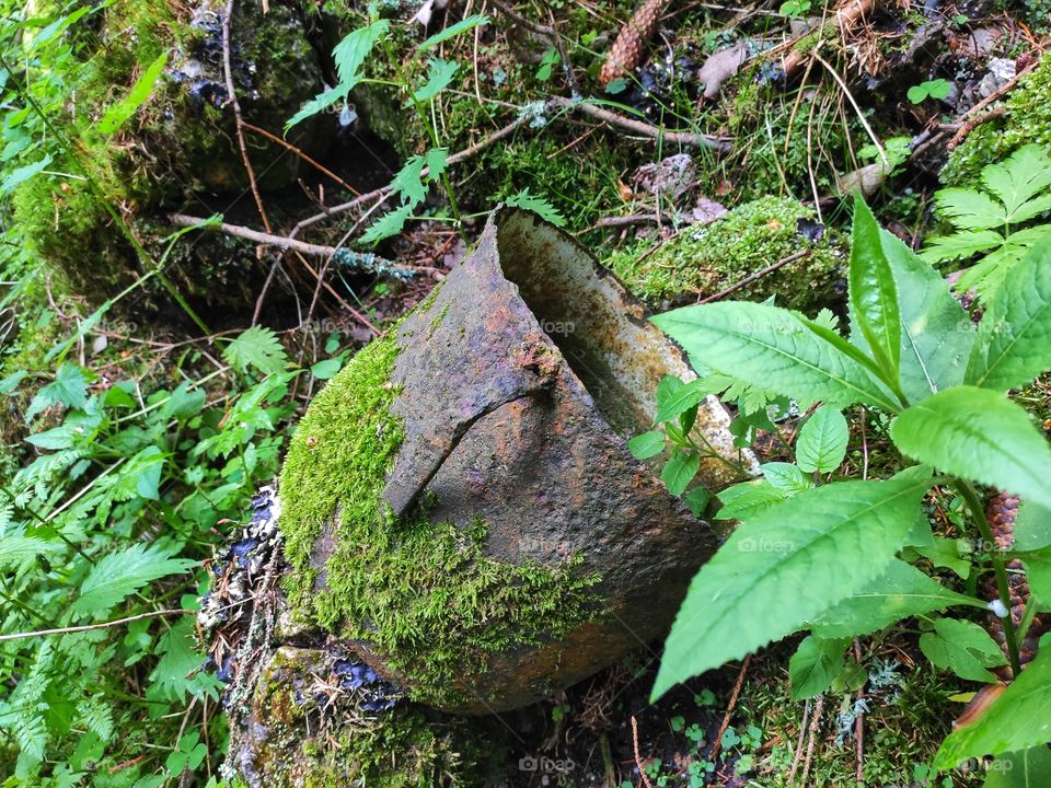 Rusty old pot