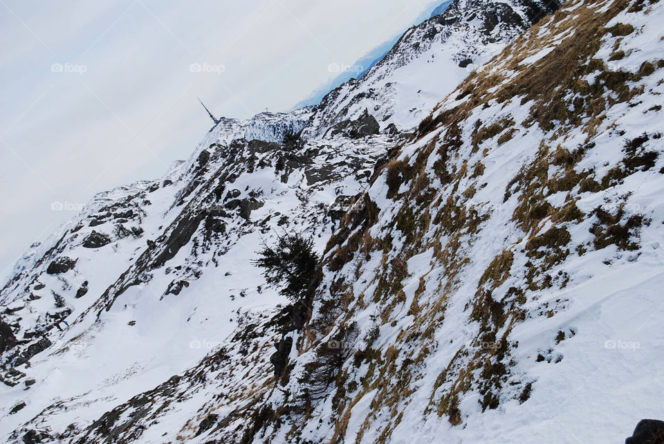 snow norway mountain tree by Nikita80