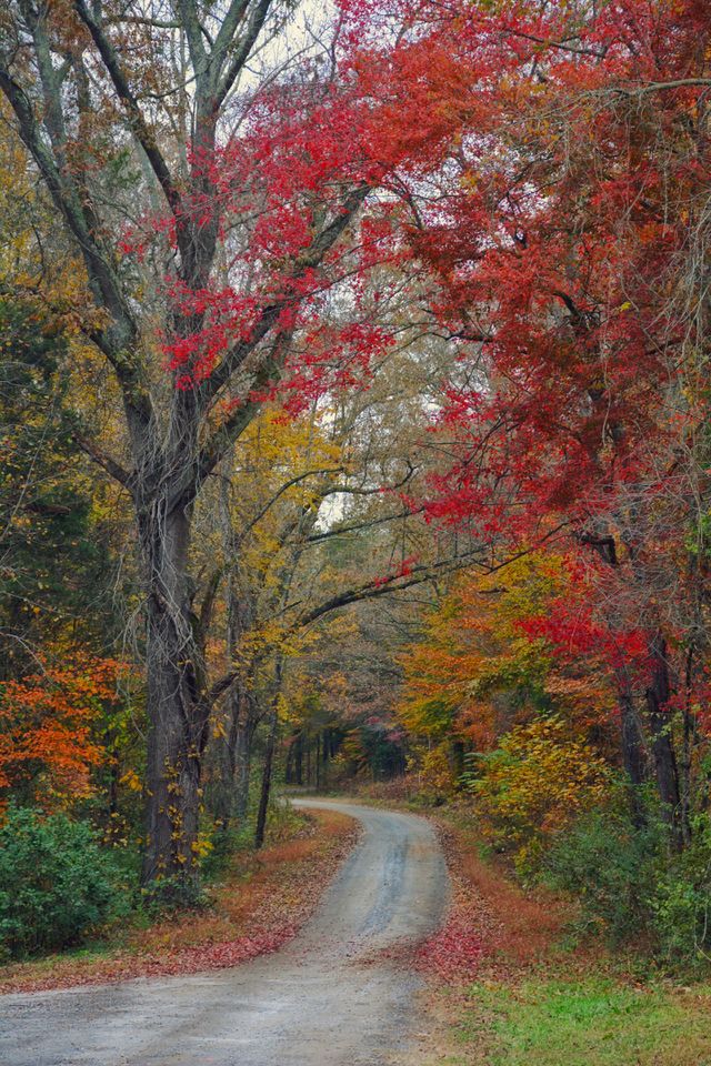 The Path 