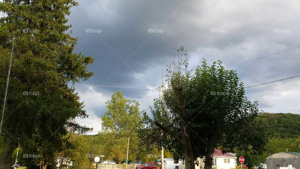 Roosevelt National Forrest