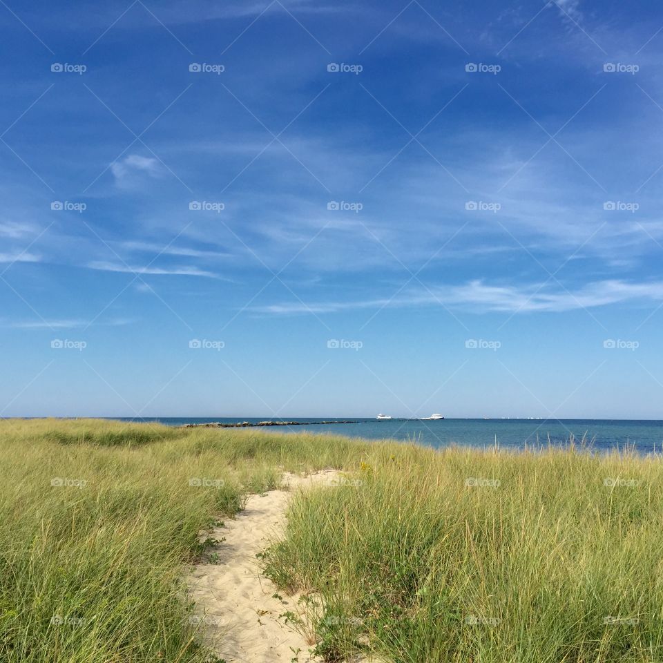 Beach path, Nantucket 
