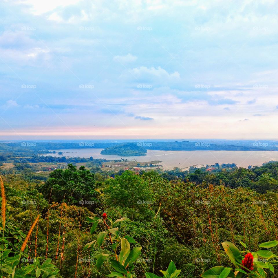 View of the lake above the height of the hill