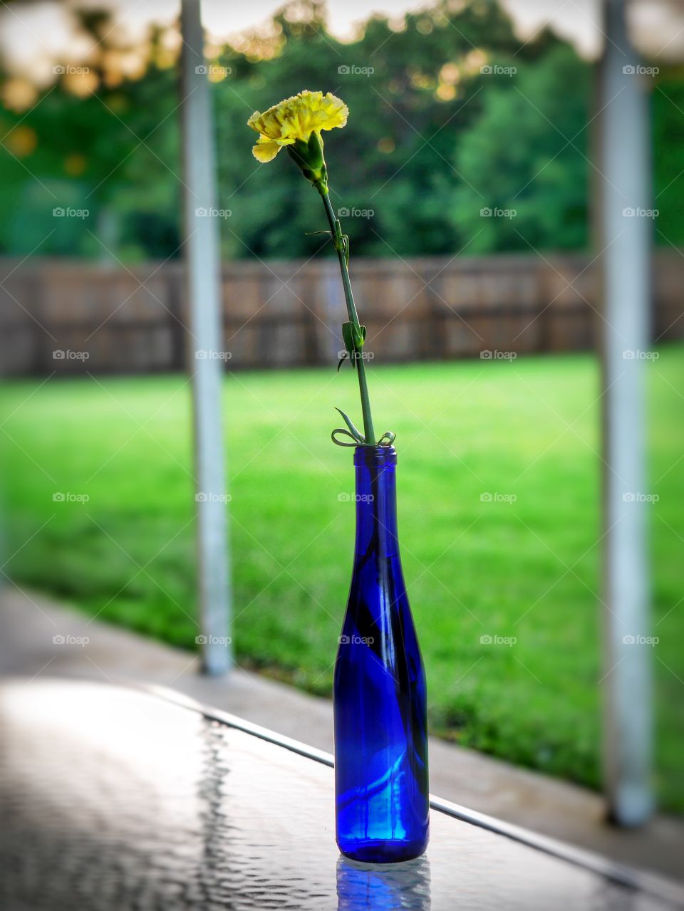 Flower in blue vase