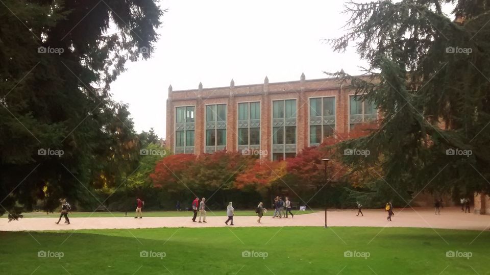 Outside Thompson Hall