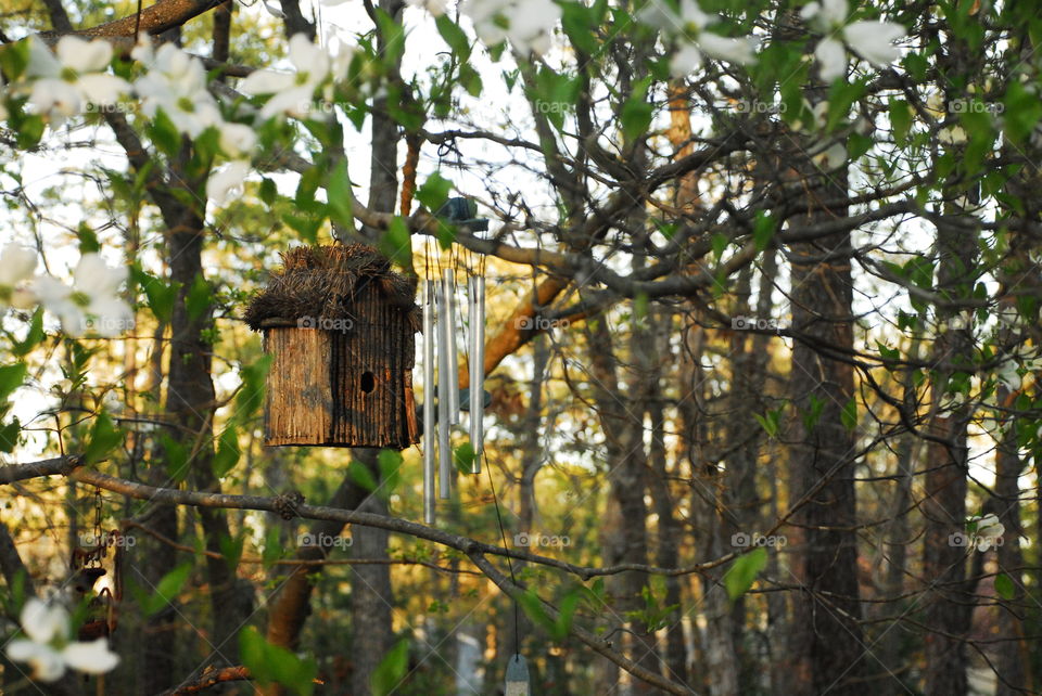 bird house and long, silver chimes hanging amid the trees