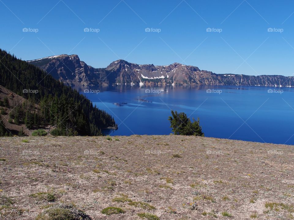 The rich blue waters of the deep Crater Lake in Southern Oregon with fir trees on the jagged rim on a beautiful sunny summer morning with clear blue skies.