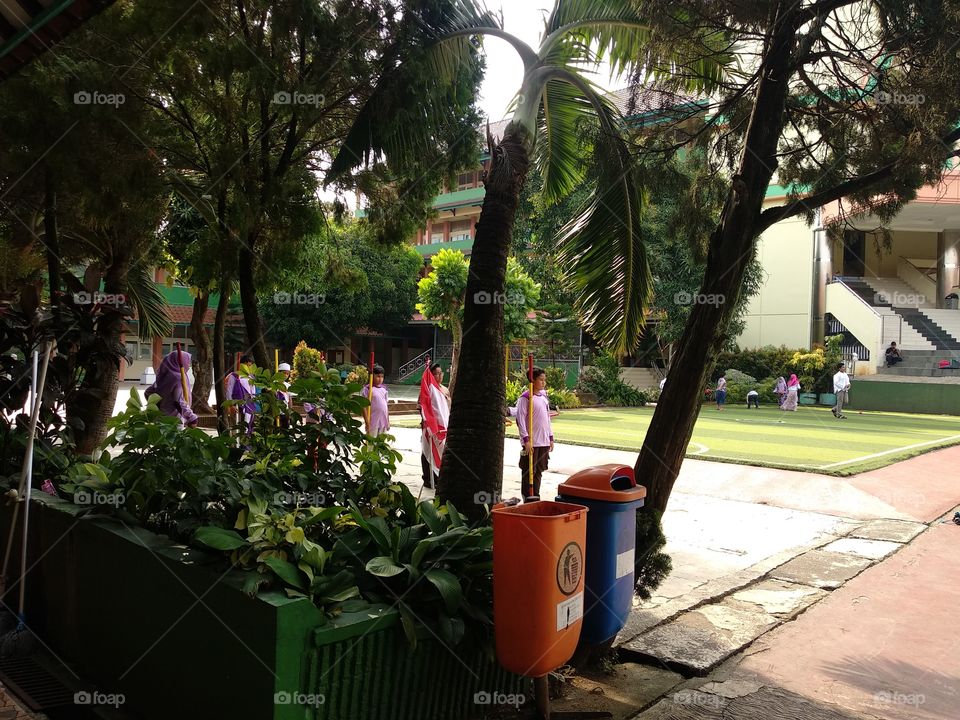 Disciplinary Activity