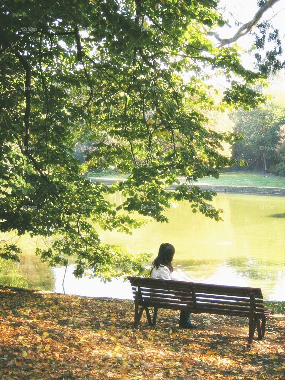 Sitting on the breach in fall