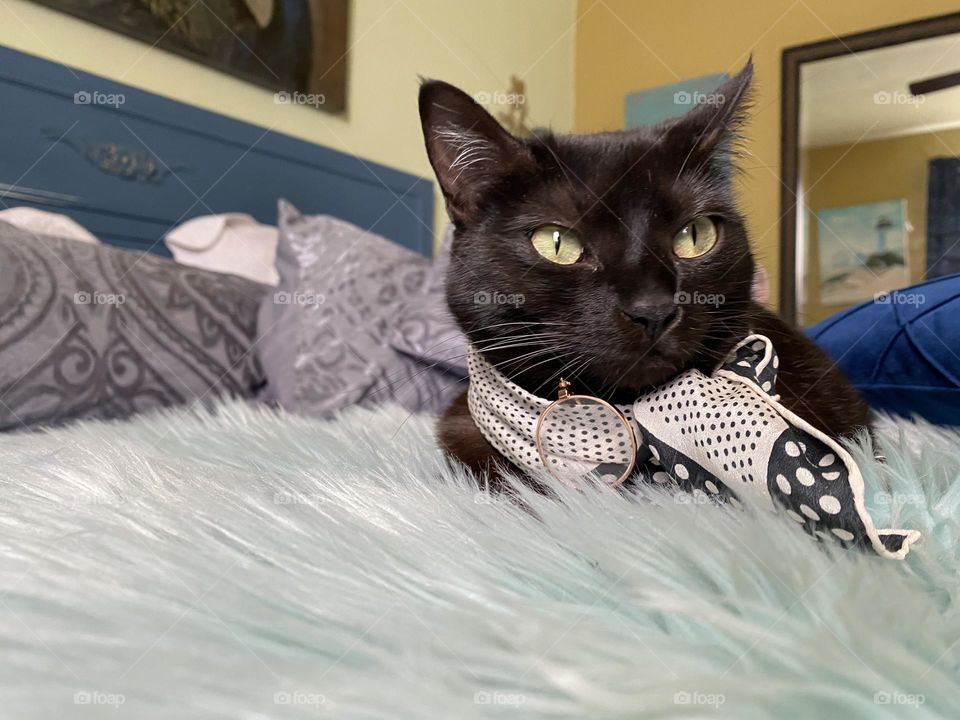 Consentida y amada, posando sin miedo 