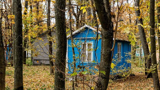 A tiny house among trees in fall 