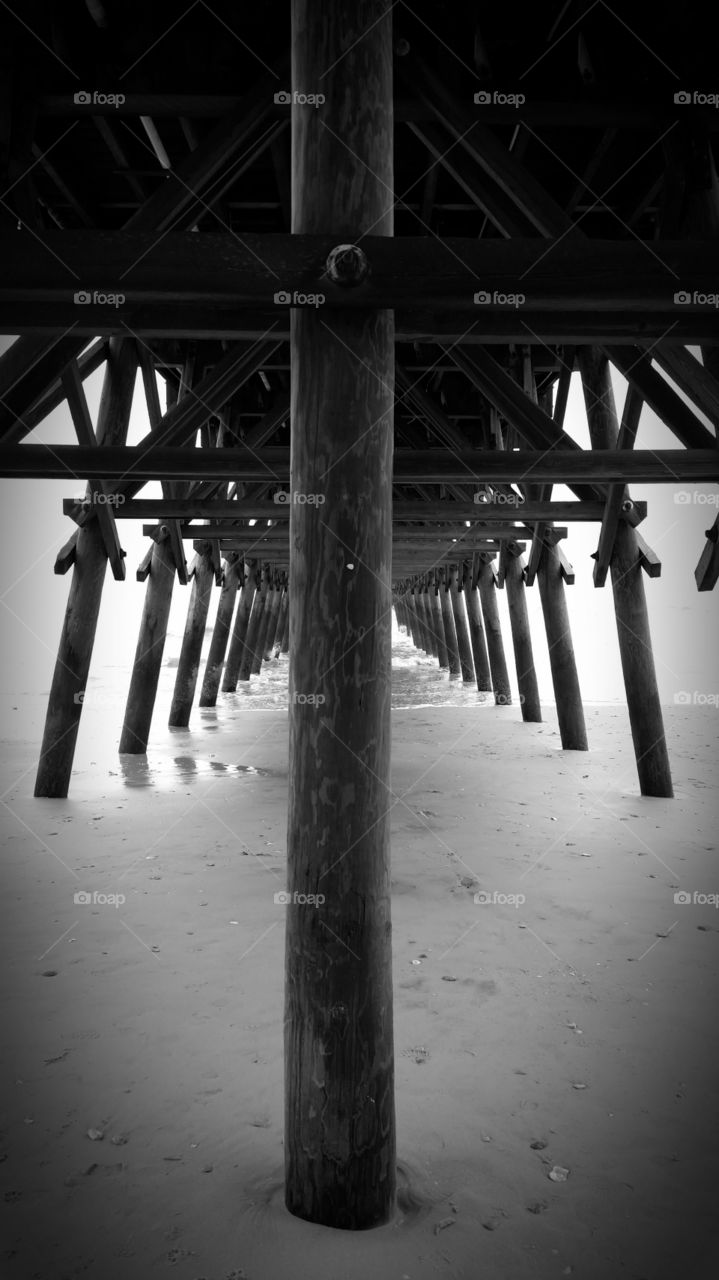 Under the Dock