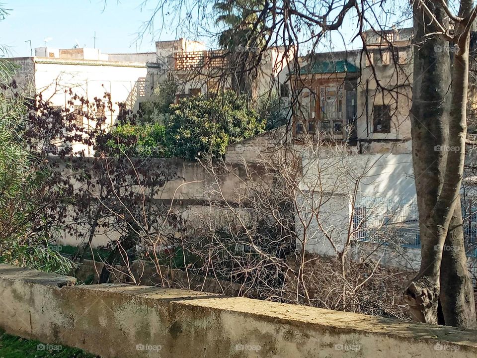 population between the nature