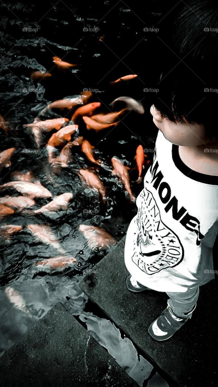 Play with koi