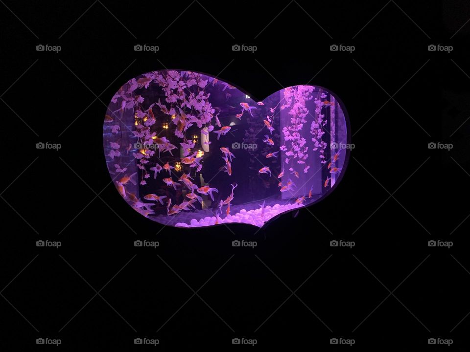 Complementary colors