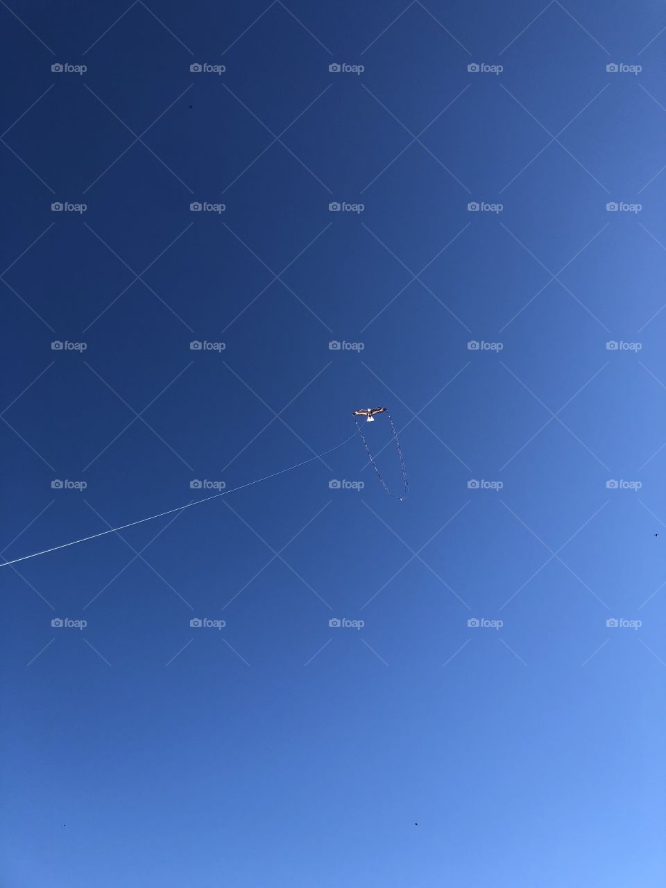 Kite flying 