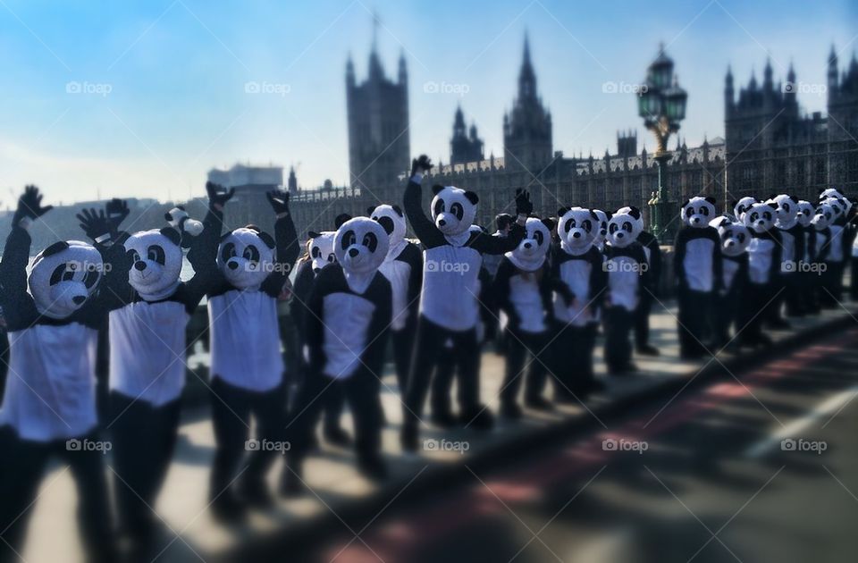Panda protest 