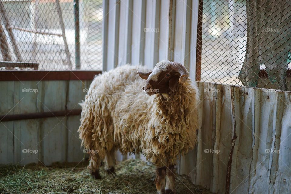 Editor’s choice. Photo of the week 