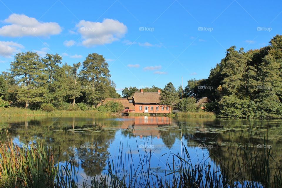 House in the woods