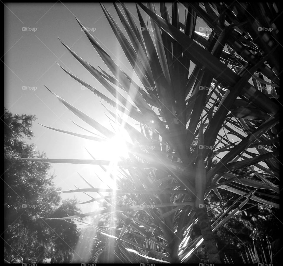 took this at work today