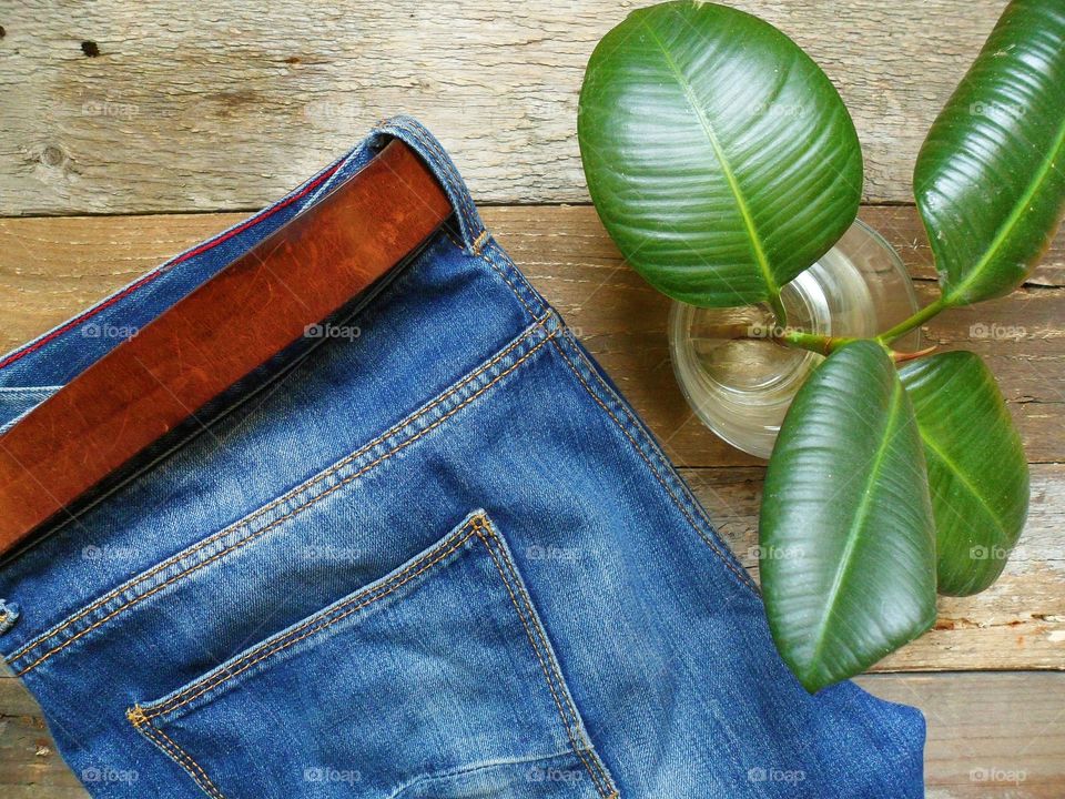 Blue jeans and a plant ficus