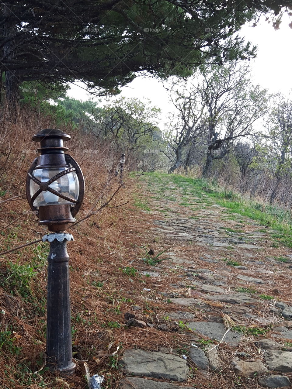 nature road imroz island turkey kaleköy