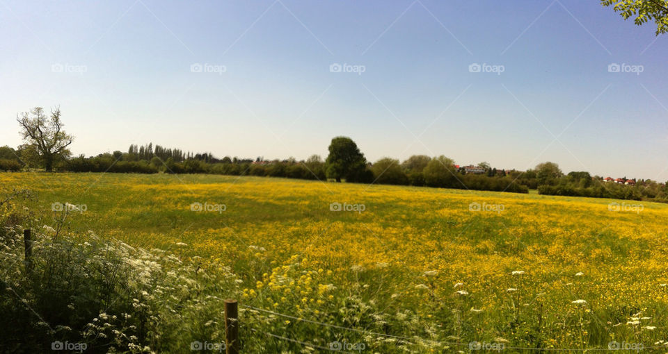 sky field summer trees by chris7ben