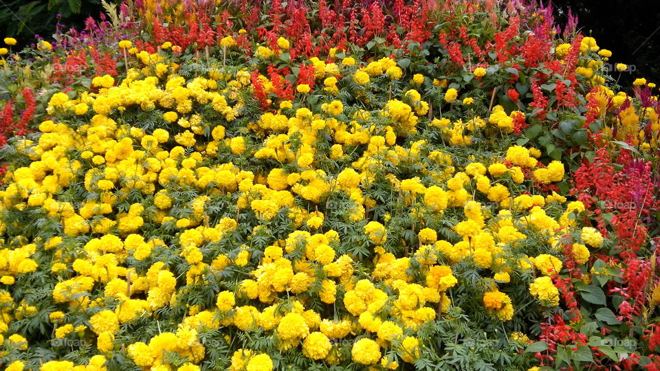 I-Innovation photography