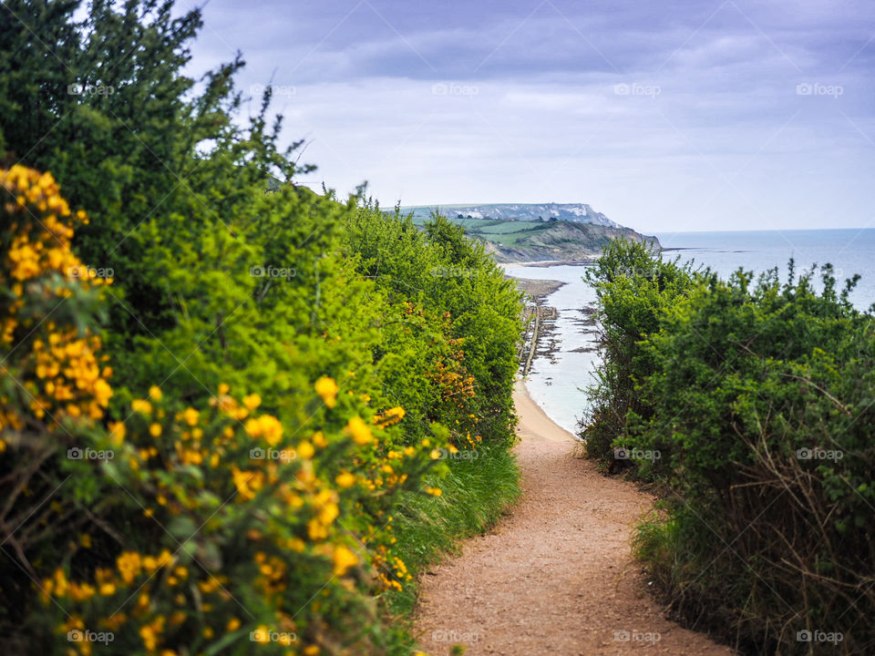 Path to the coast