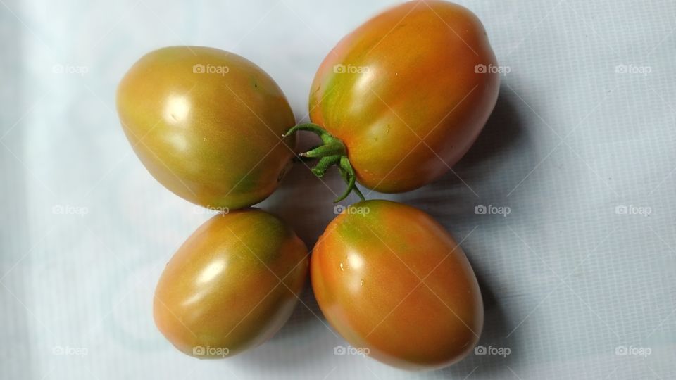 fresh tomatoes of my  garden.