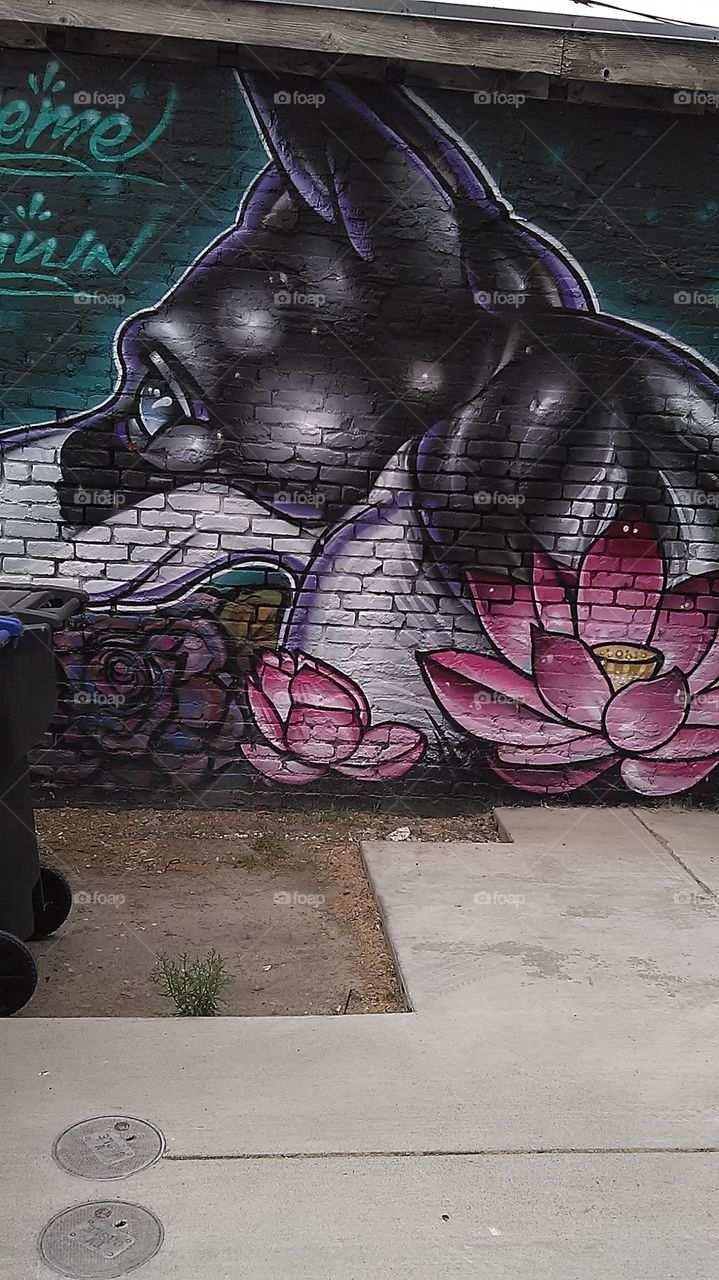 Man's best friend. I was taking a walk and I saw this in an alley