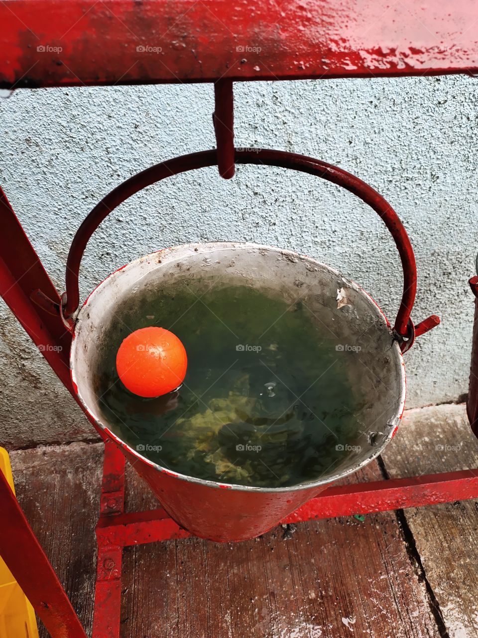 Amazing Combination
👁️📷📷📷
Ball 
Floating in Water
in Bucket