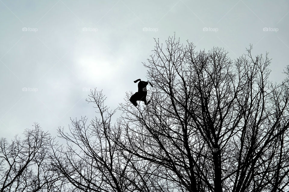 Horse-shaped balloon 