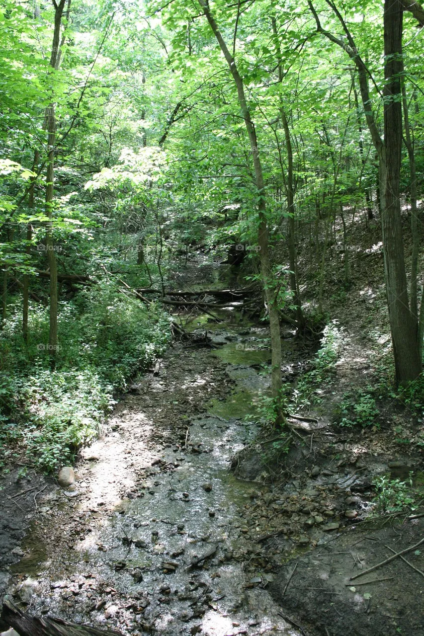 Hiking