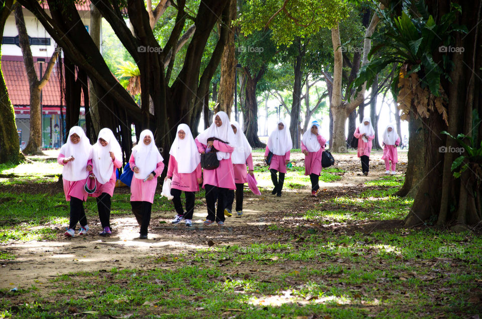 pink trees girls students by sklarian