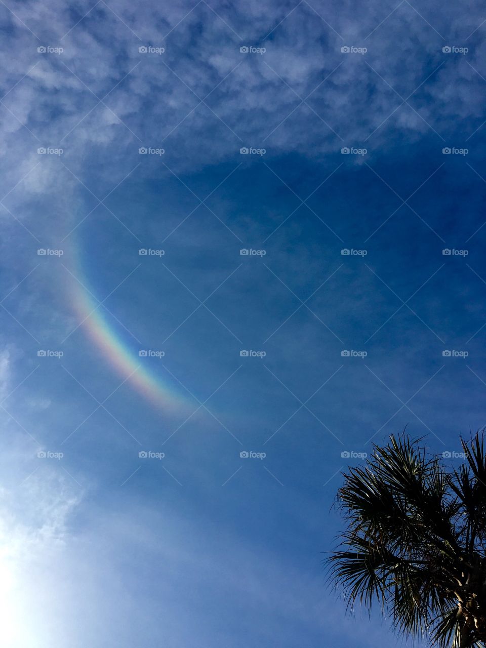 A Slice Of The Rainbow