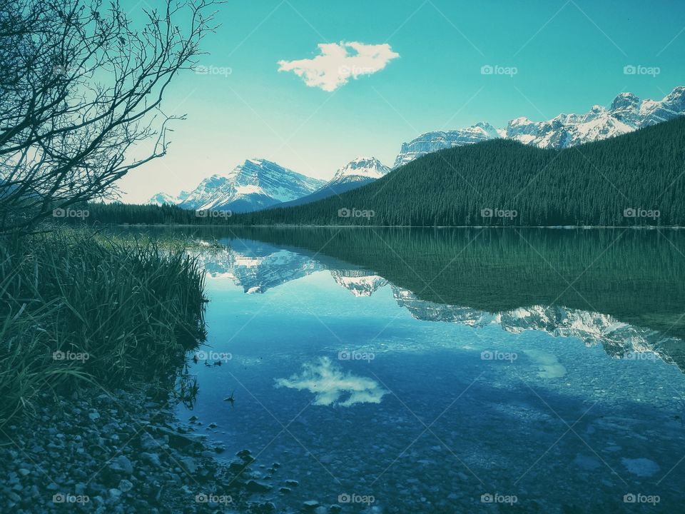 Waterfowl Lake Alberta Canada