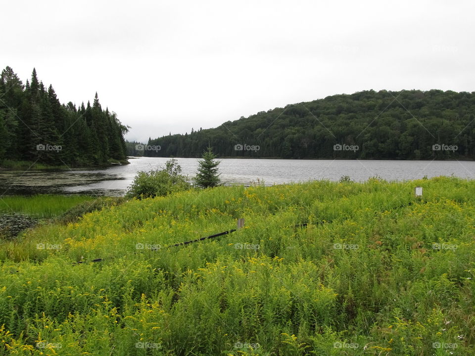 scenic lake