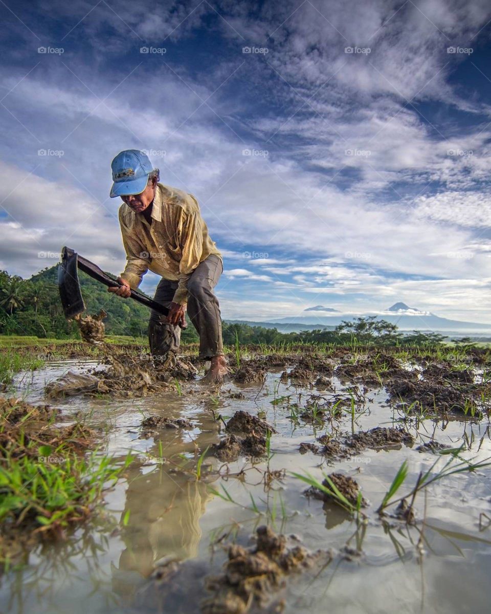 farmer on the rice field .. he doing what he do for a better life