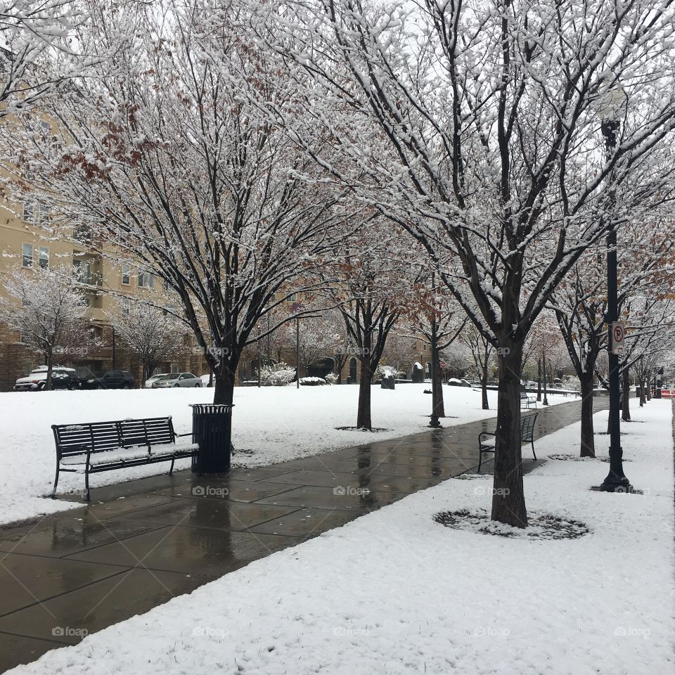 Park full of snow in Salt Lake City, UT