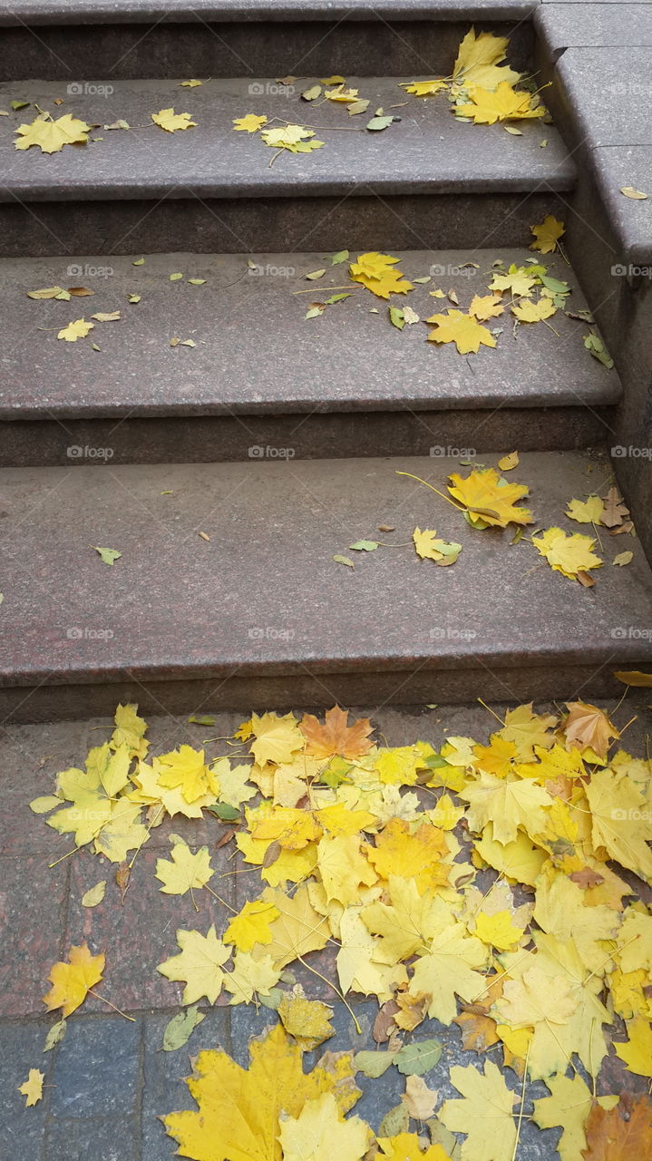 these steps lead to amazing place.This place is   called  City garden.