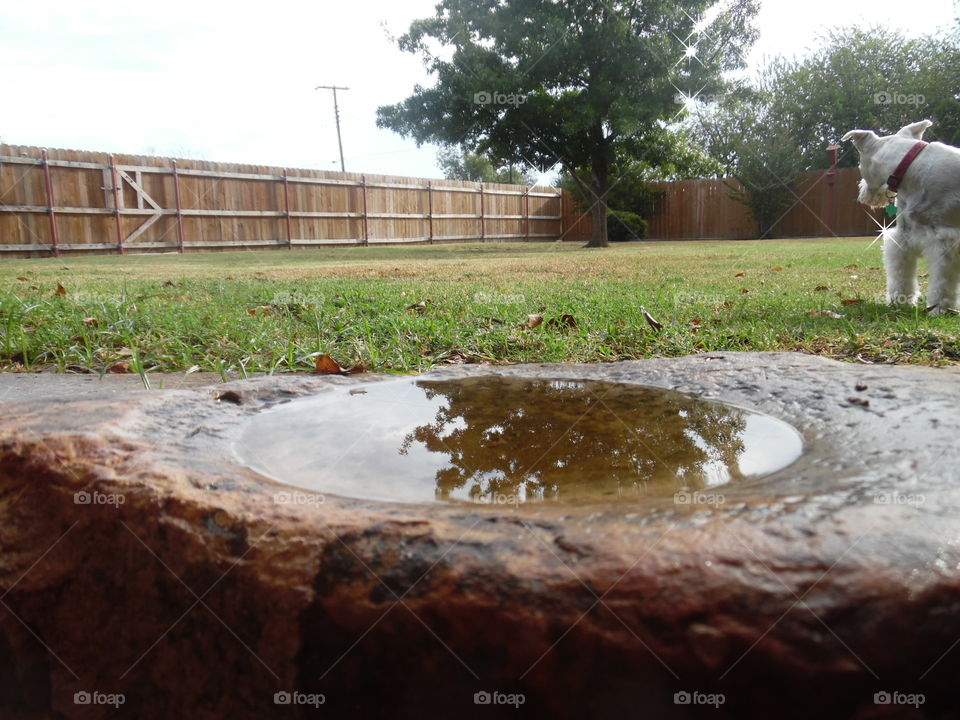 morning rainstorm. This is a picture of a rock after a rainstorm. 👣 🚶 🏃 🔥 💨