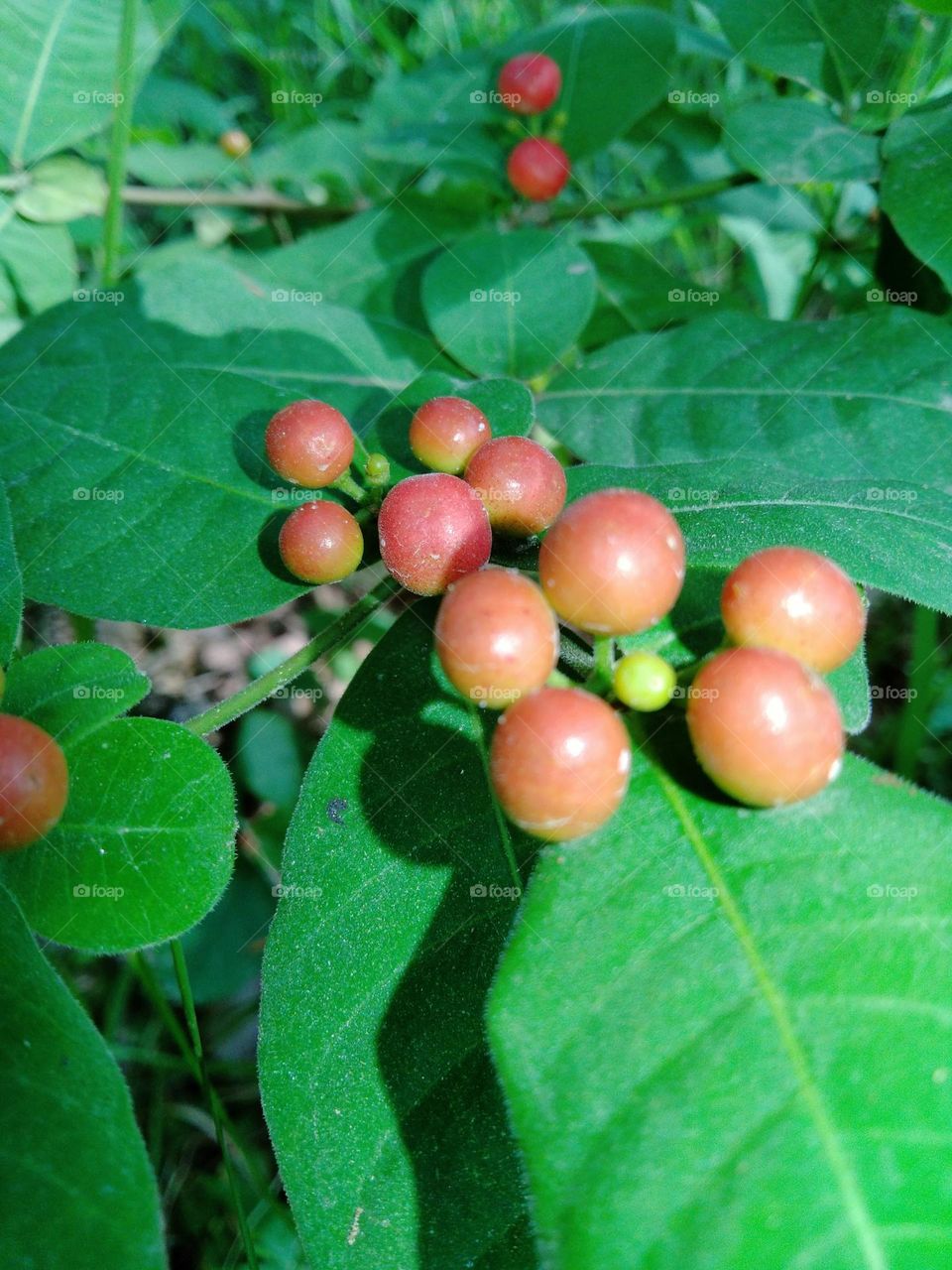 I am student please support me