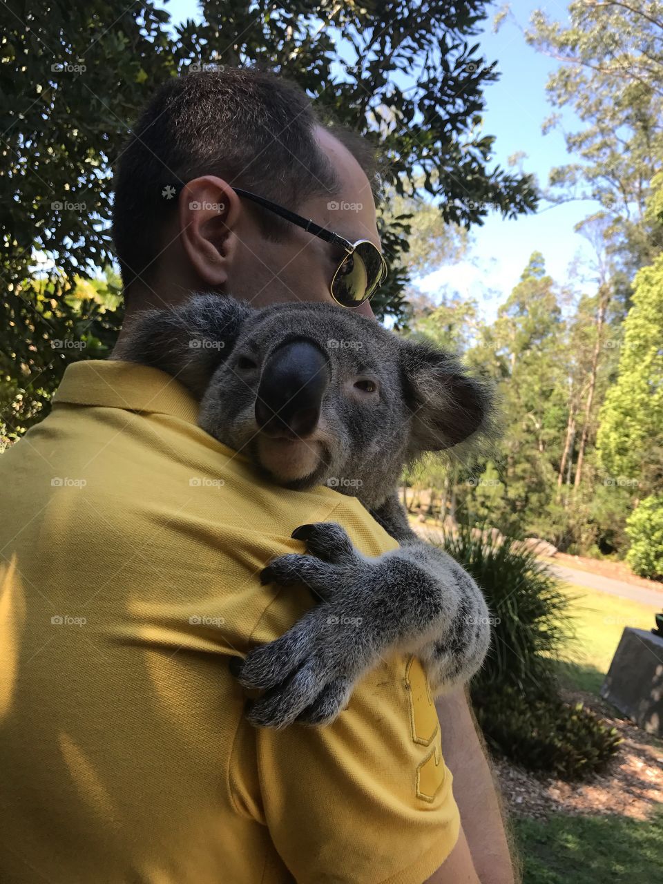 Hugging a koala
