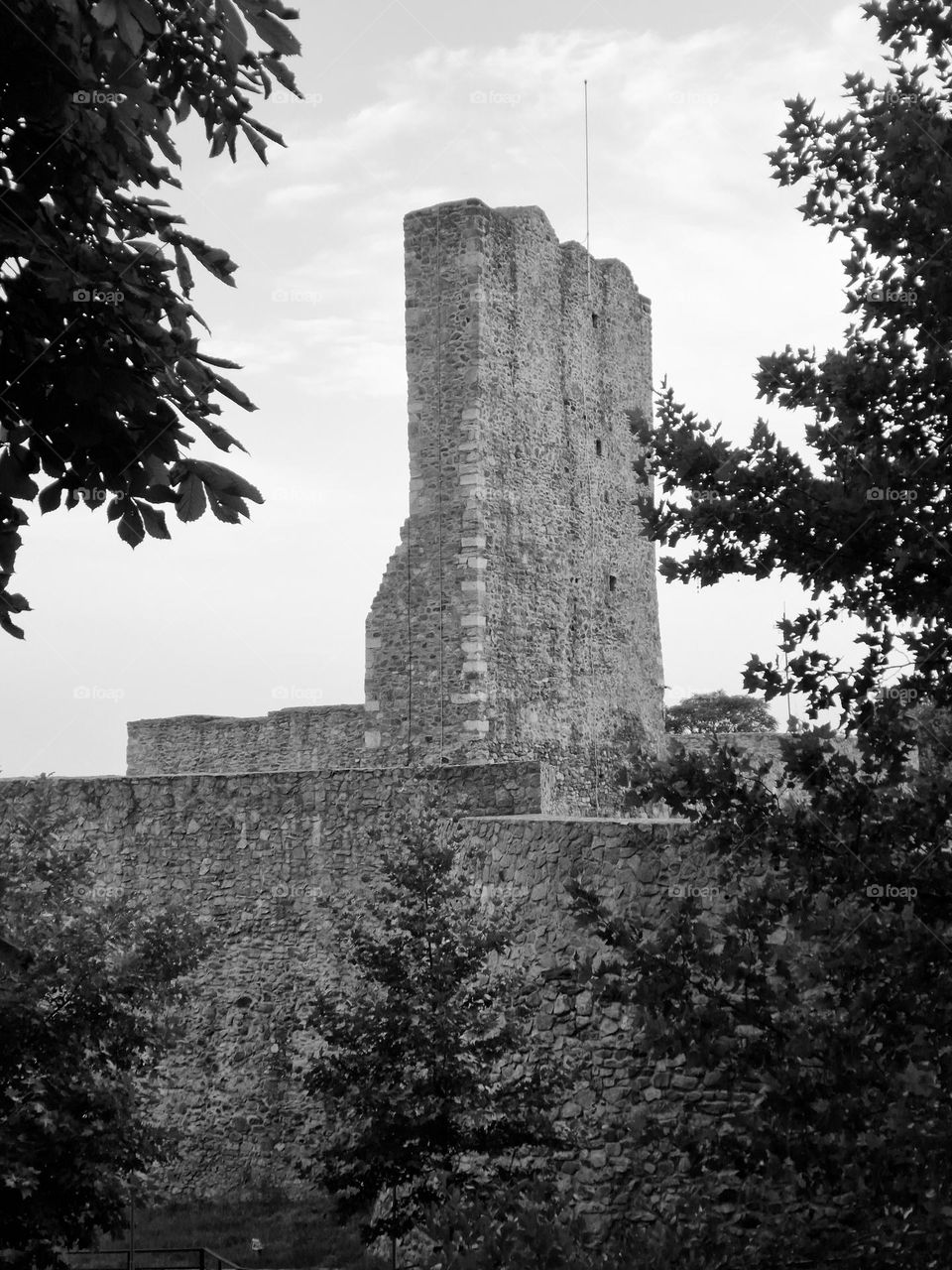 Severin fortress