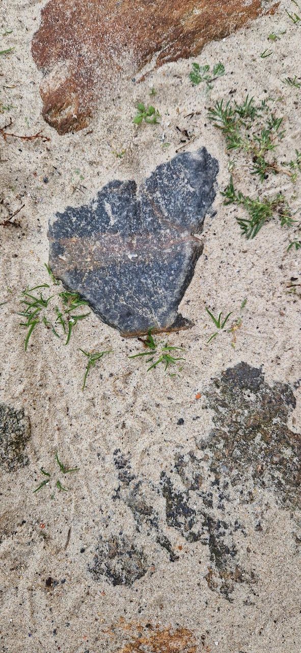 butterfly shape stone