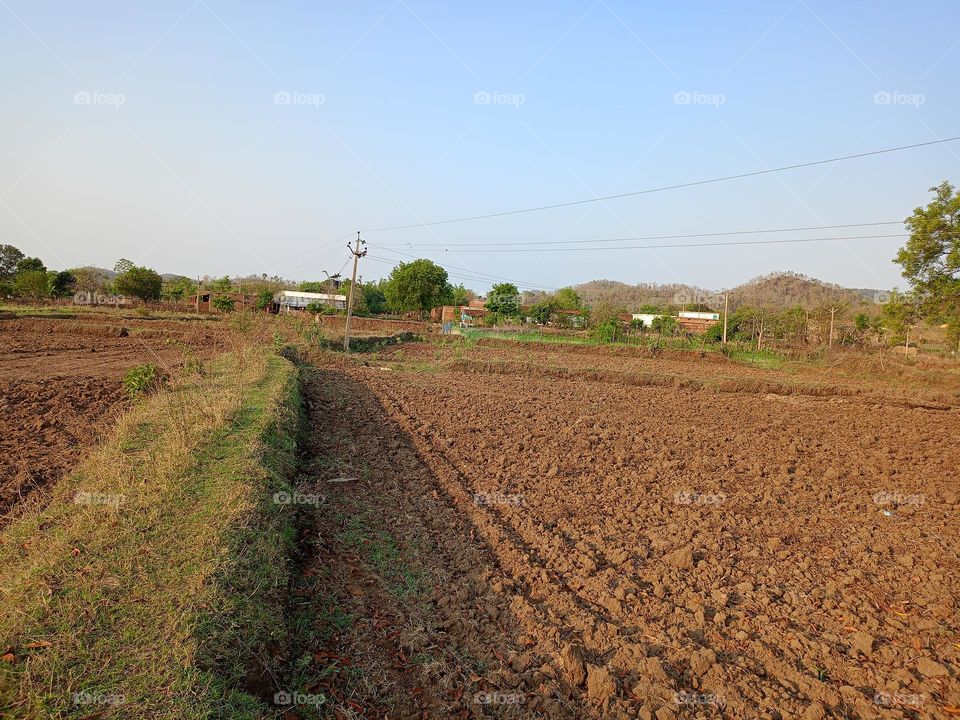 day time image of india good looks nature
open sky this image