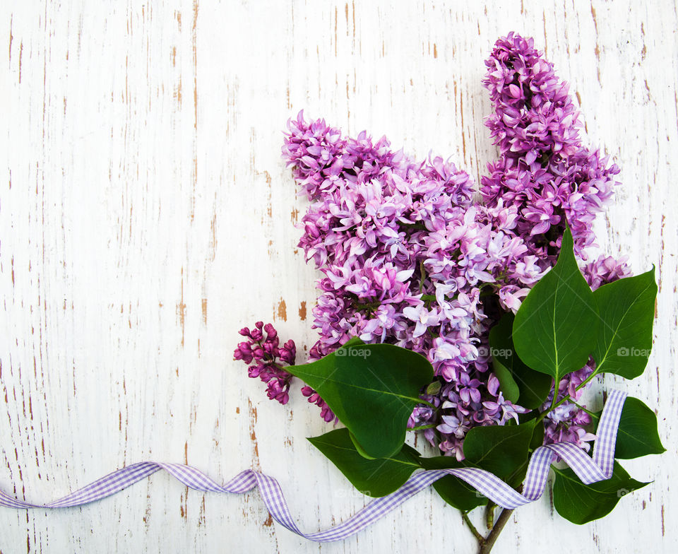 Lilac flowers