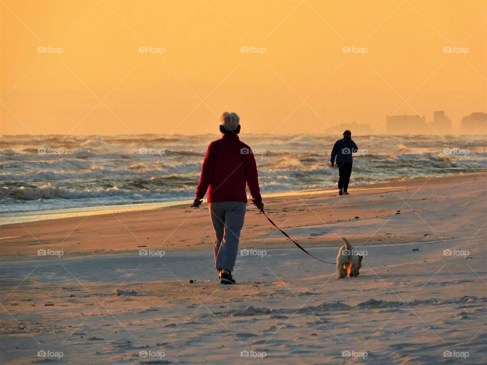 walking our dogs alone the beach on a warm summer 